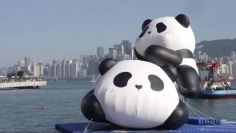 Panda Economy