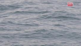 Hong Kong Connection