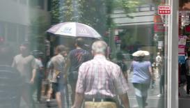 Hong Kong Connection