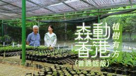 森動香港 (普通話版)
