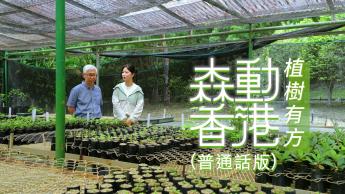植树有方