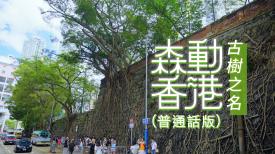 森動香港 (普通話版)