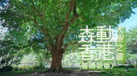 森動香港 (普通話版)