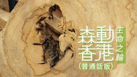 森動香港 (普通話版)