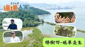 榕樹凹 – 絕草逢生