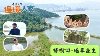 榕樹凹 – 絕草逢生