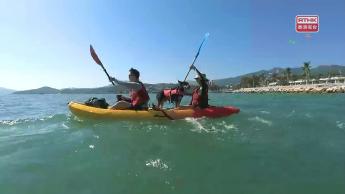 毛孩的生命規劃