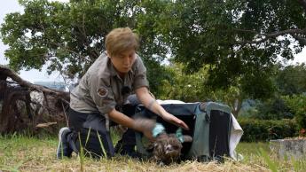 野生動物拯救現場