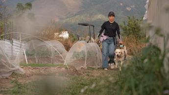 把自己活成一道光