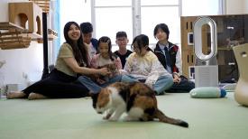 Hong Kong Stories: Tails of the City (English Version)