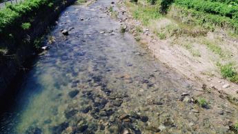 The Lam Tsuen River Keeps the Flow