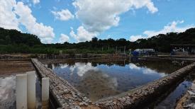 Bonding with the Salt Island 