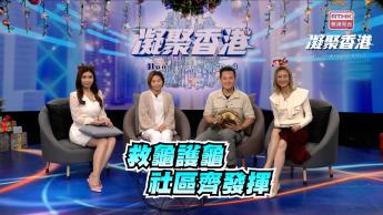 第920集 在社區設立保護龜隻的教育基地，如何推動生命教育？