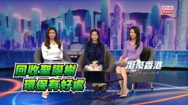 第923集 聖誕樹回收，慶節不浪費