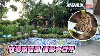 第931集 在商場建立社區蝴蝶園，對人和自然生態有何好處？