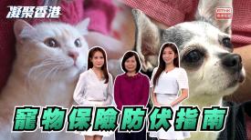 凝聚香港