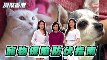 1070集 寵物保險興起，主人投保有何要注意？