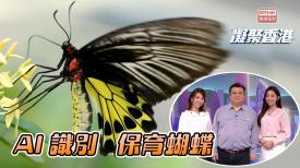 凝聚香港