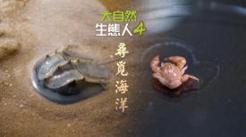 大自然  生態人4
