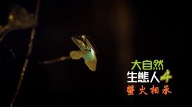 大自然  生態人4