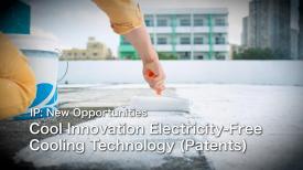 IP: New Opportunities (English)