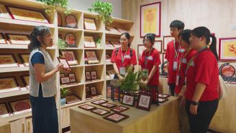 灣區「夢」迴響