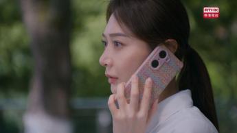  第三十六集：夢心發現公司負債 