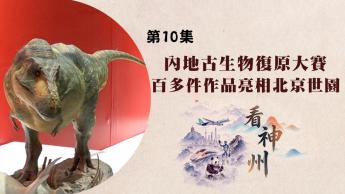內地首辦古生物復原大賽 寧波理髮店疑騙財
