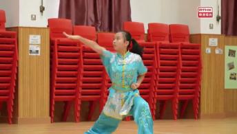 小學聯校武術比賽