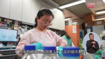 第51集(手語版)香港故事- 創科夢工場 2#11許浩霖 - 與達爾文同行(手語版)跑者愛也#5蘇麗珊/安多酚彩妝