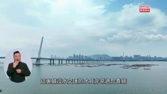 第7集(手語版)香港故事：邊境人家#6流浮山–流水浮山(手語版)大自然．生態人4#5尋覓海洋