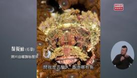 識多一點點