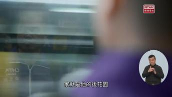 第23集(手語版)香港故事：尾巴會說話#2比天堂還美麗(手語版)傷健同行好僱事#6『零』的突破