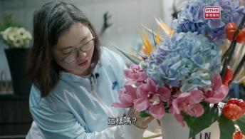 第24集(手語版)香港故事：尾巴會說話#3P牌實習生(手語版)傷健同行好僱事#7指尖與心間