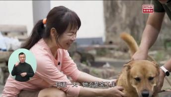 第30集(手語版)香港故事：尾巴會說話#9酋長日記 (手語版)森動香港#3植樹有方