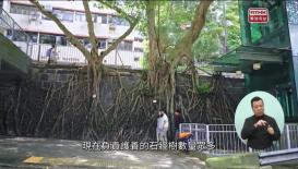 識多一點點