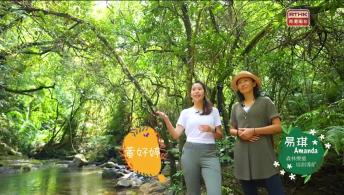 《邻到我请里》 吴忠泰（资深广播人）