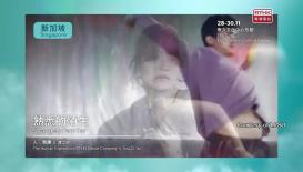 Asia+ Festival; Treasures of the Mughal Court