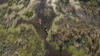 美國 - 伊利湖的新生命	