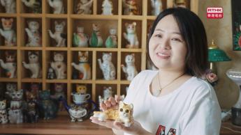 第3集：貓壺、搪瓷杯的收藏