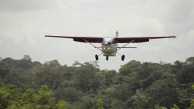 On the Wing 