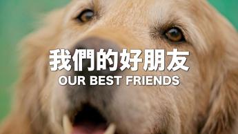 我們的好朋友