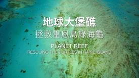 Rescuing The Turtles In Raine Island