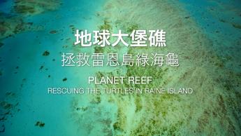 Rescuing The Turtles In Raine Island