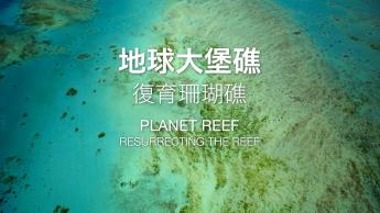 Resurrecting The Reef