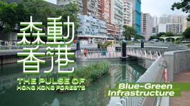 The Pulse of Hong Kong Forests