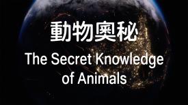 The Secret Knowledge of Animals