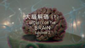 31看世界 - 大腦解碼