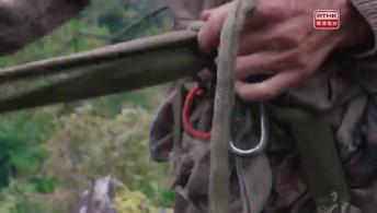 第二集：妙造自然