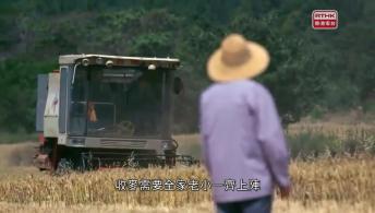 第三集：麵裏乾坤